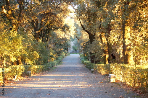 Viale d' Autunno