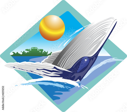 naturaleza 8