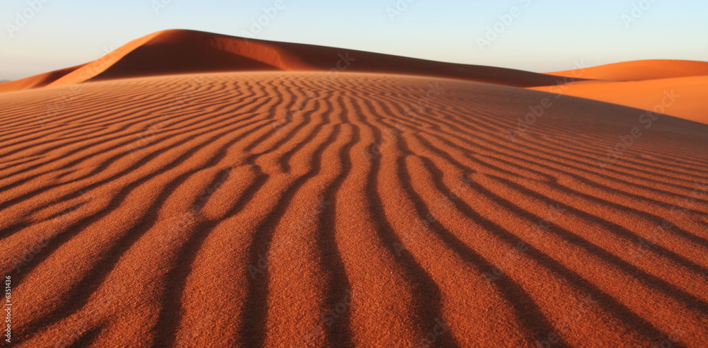Naklejka premium Deserts dune