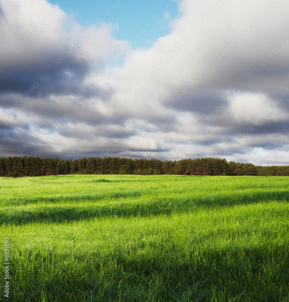 Obraz premium Green grassland and storm cloud