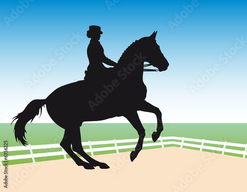 Vector silhouette - equestrian sport  dressage