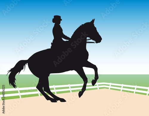 Vector silhouette - equestrian sport: dressage