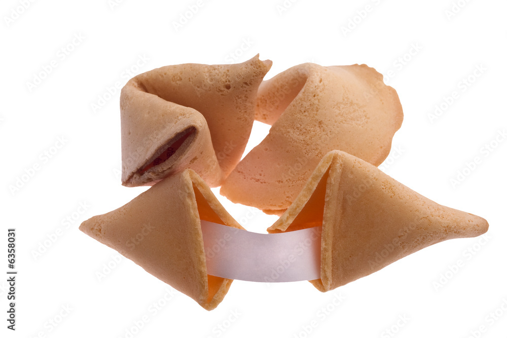 fortune cookies with blank fortune (write your own) fortune cookies with blank fortune (write your own)