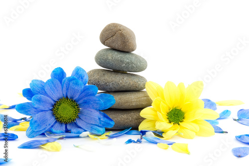 zen stones with flowers studio isolated