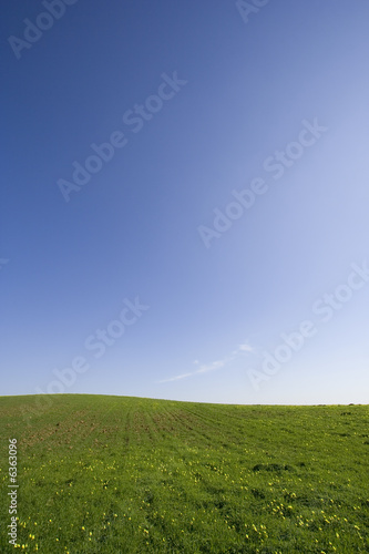 Blue, Green and yellow field landscape