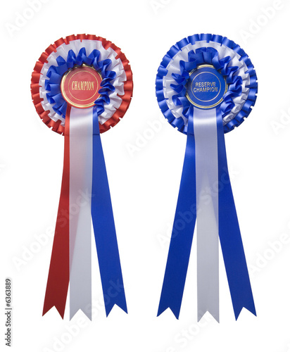 Canvas Print Two rosettes with the words champion and reserve champion