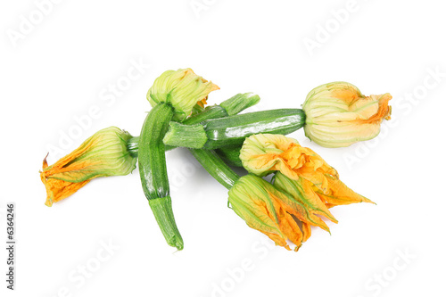 fiore di zucca