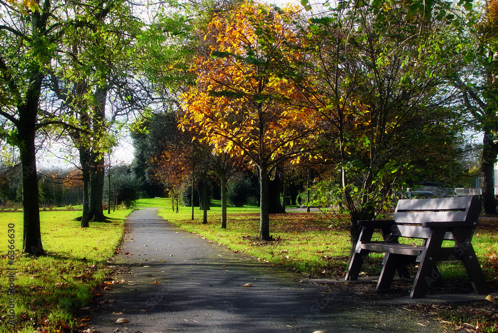 Naklejka premium Peoples Park