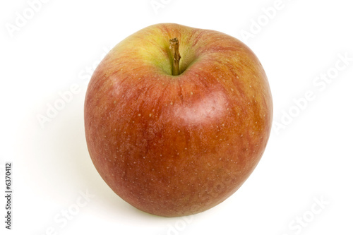 Fruits du verger - Pommes