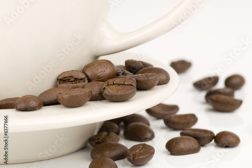 Coffee Cup