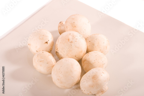 Mushrooms on Square White Plate