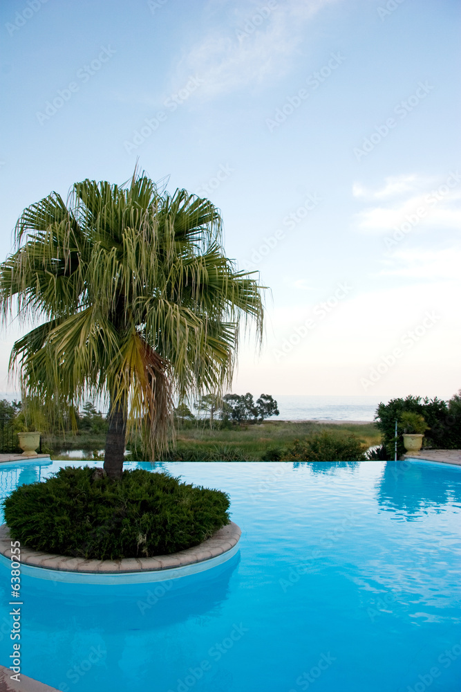 Fototapeta premium Palme am Pool