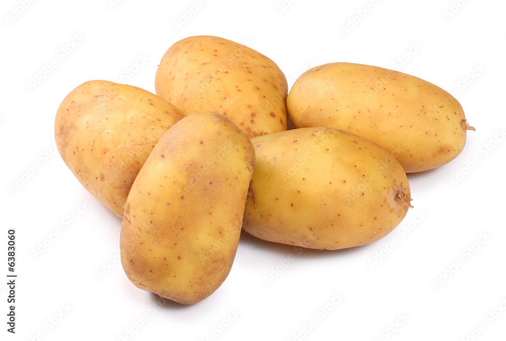 potatoes on white background close up shoot potatoes on white background close up shoot