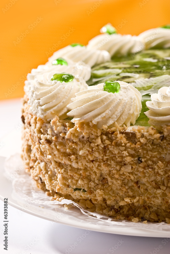 Bisquit cake with kiwi fruit on the plate Bisquit cake with kiwi fruit on the plate