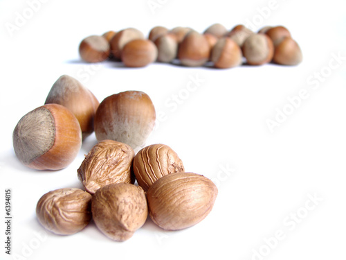  hazelnuts isolated on white