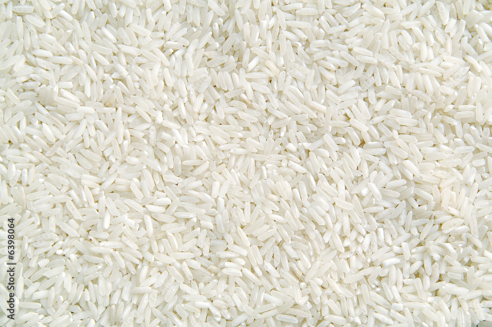 Rice Rice