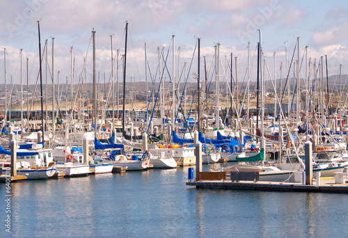 Sailboats lined up in the marina at Monterey, California © Kenneth Sponsler