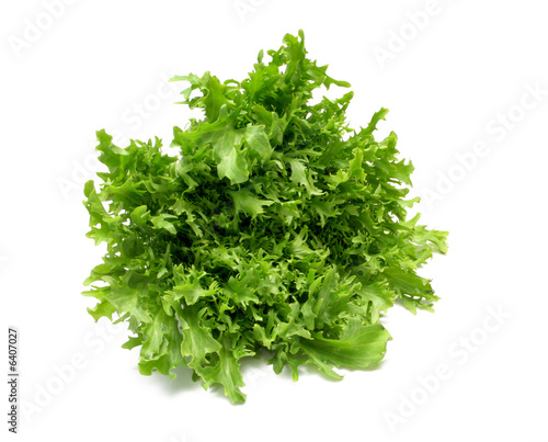 Baby Endive