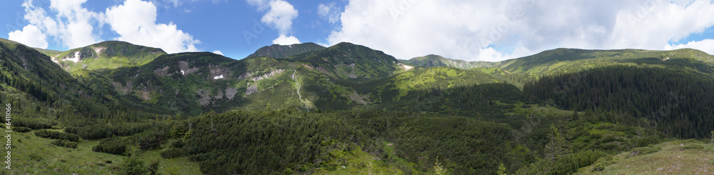 Mountain panorama view with juniper forest 
