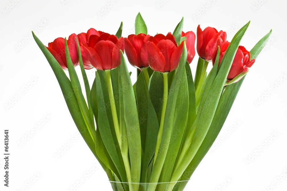 Tulpenstrauss Tulpenstrauss