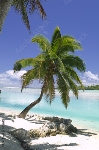 Tropical Dream Beach Paradise of the South Pacific