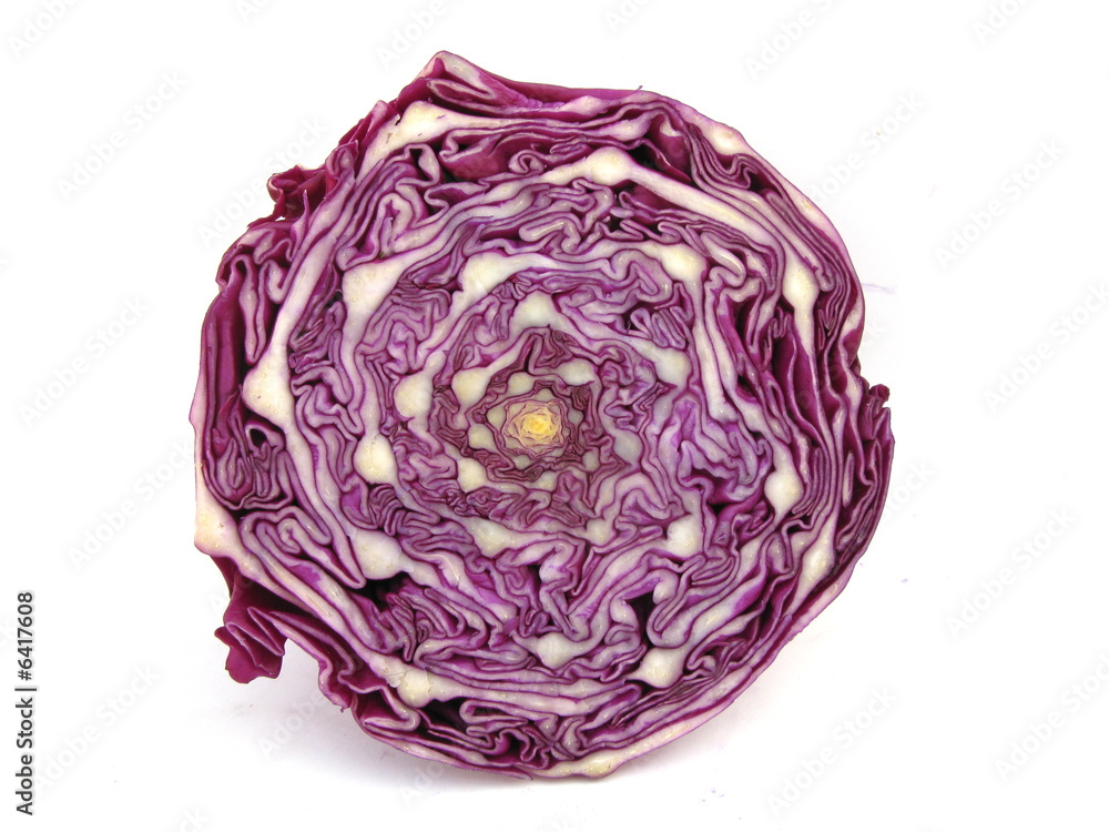 Cabbage purple cross section isolated on white Cabbage purple cross section isolated on white