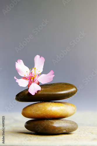 Small pink flower atop three stacked stones