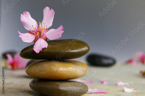Three stacked stones  flower and pink petals