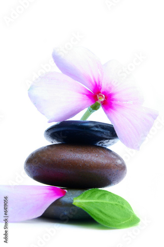 Smooth stones and pink flower