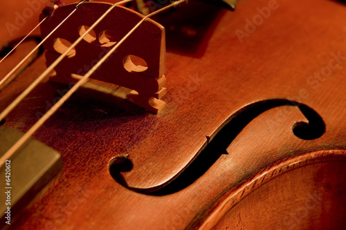 Violin detail
