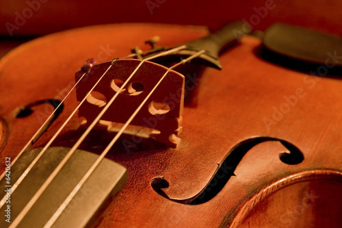 Violin detail