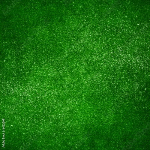 Green grass background with shaded areas