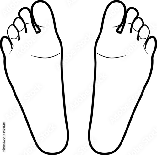 Feet vector illustration