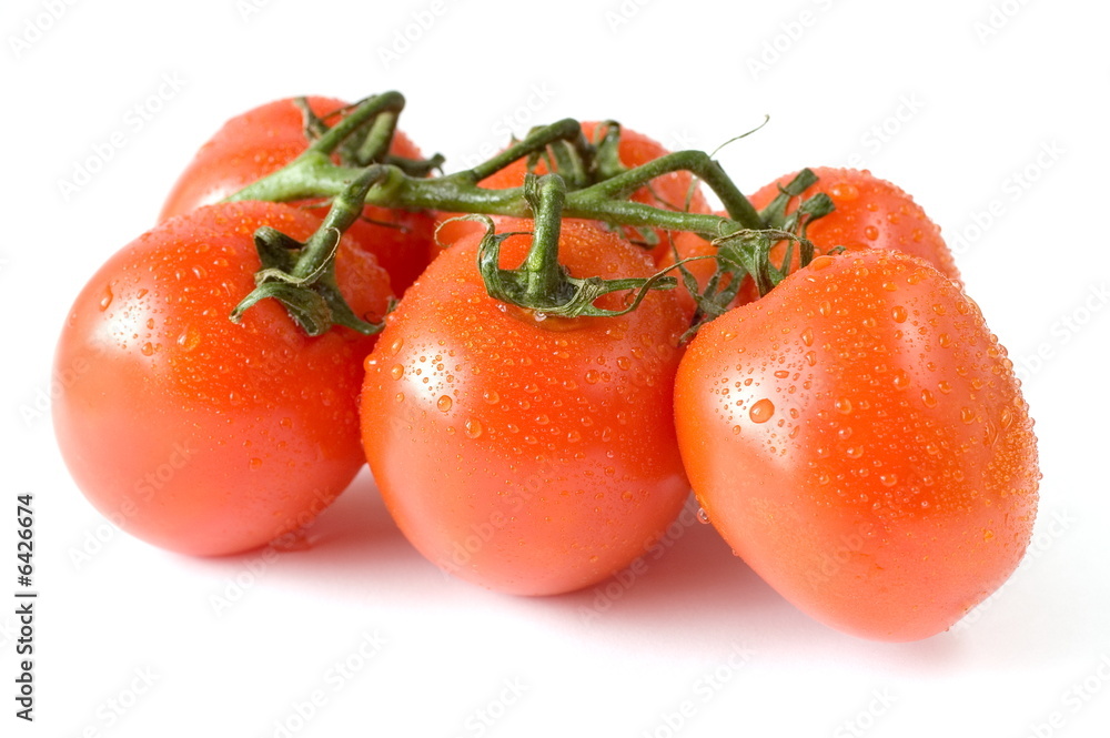 A branch of fresh red tomatoes on white background A branch of fresh red tomatoes on white background