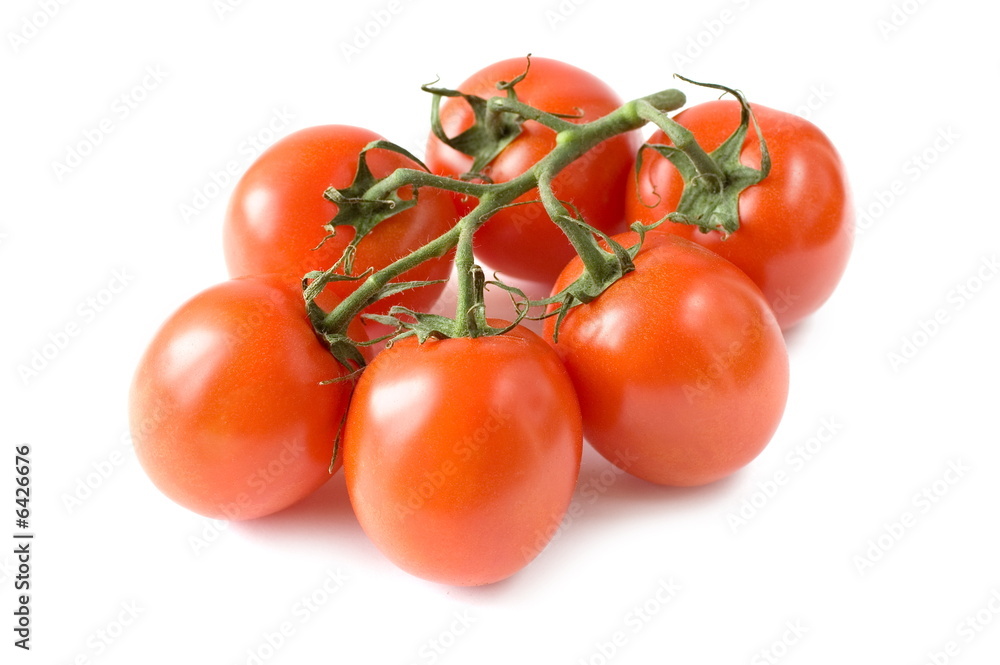 A branch of fresh red tomatoes on white background