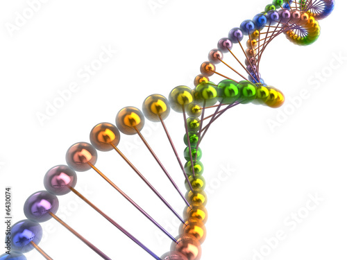 Naklejka dna