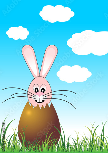 Easter bunny inside chocolate egg over green grass field
