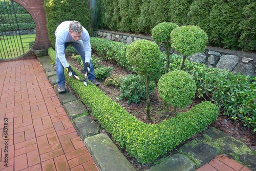 gardening