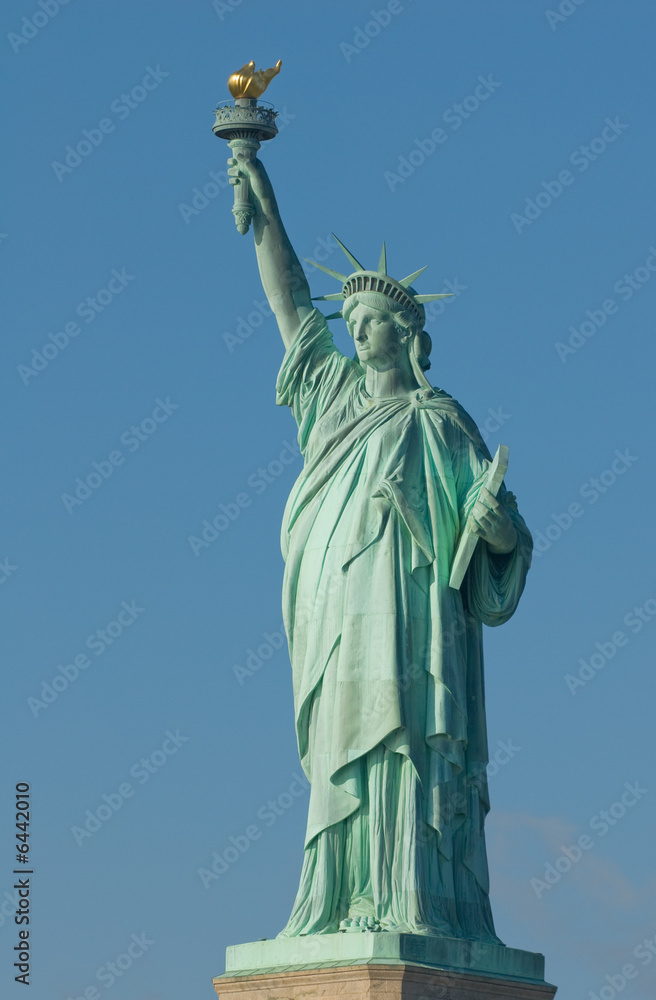 Fototapeta premium liberty statue new york usa