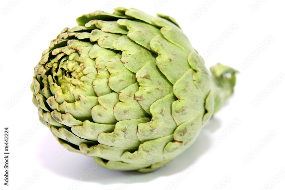Obraz premium Artischocke