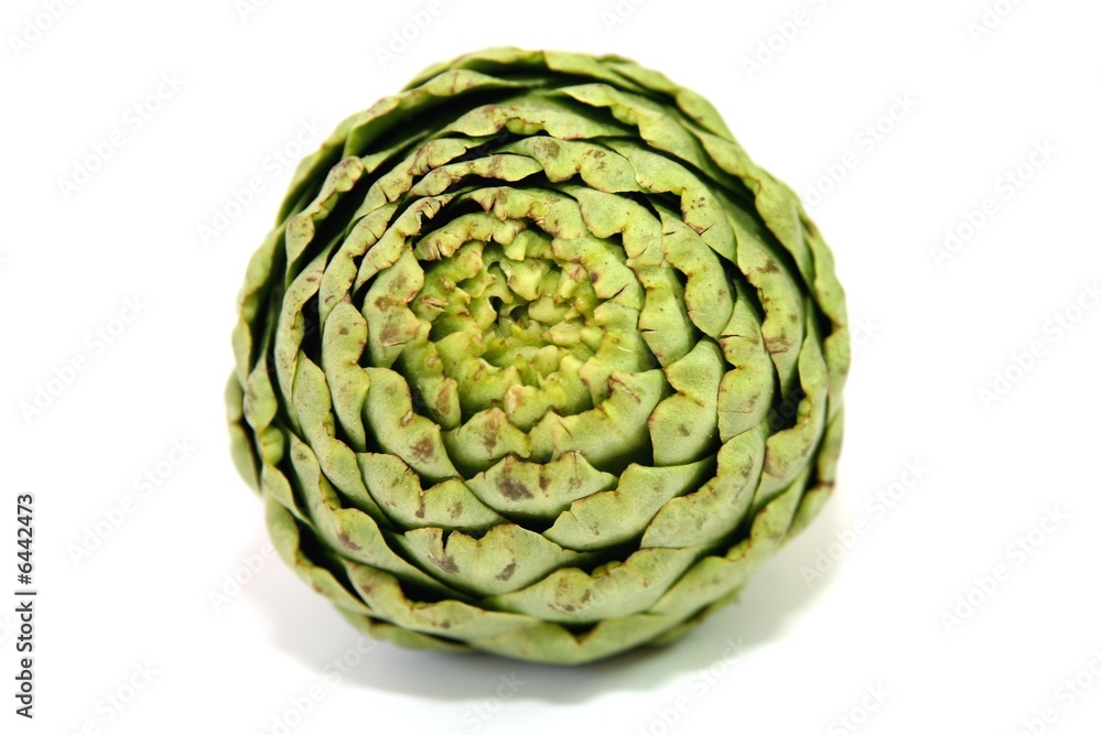 Obraz premium Artischocke