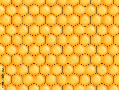 honey bee comb background