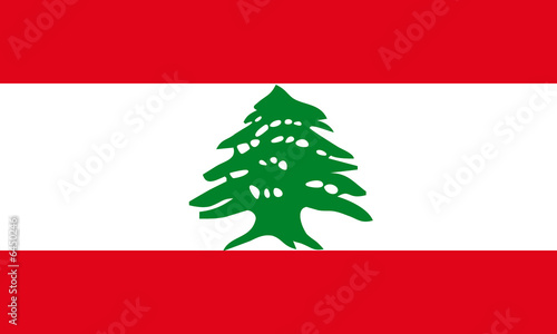 libanon fahne lebanon flag photo