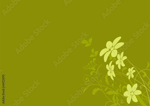 vecteur s  rie - marguerite - fleur vectoriel sur fond vert