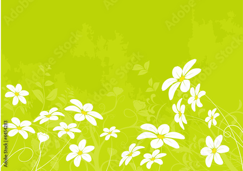 vecteur série - fleur marguerite - paysage de printemps et été