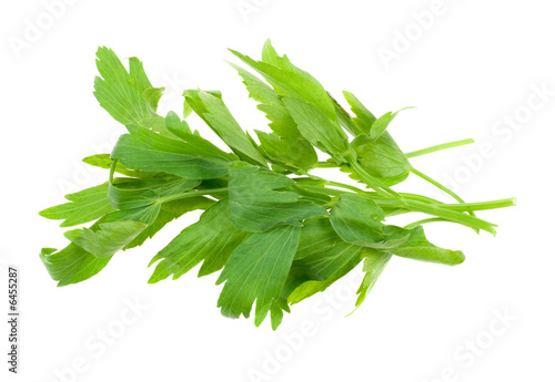 fresh lovage herb