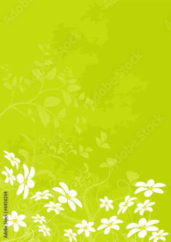 vecteur série - fleur marguerite - paysage de printemps et été