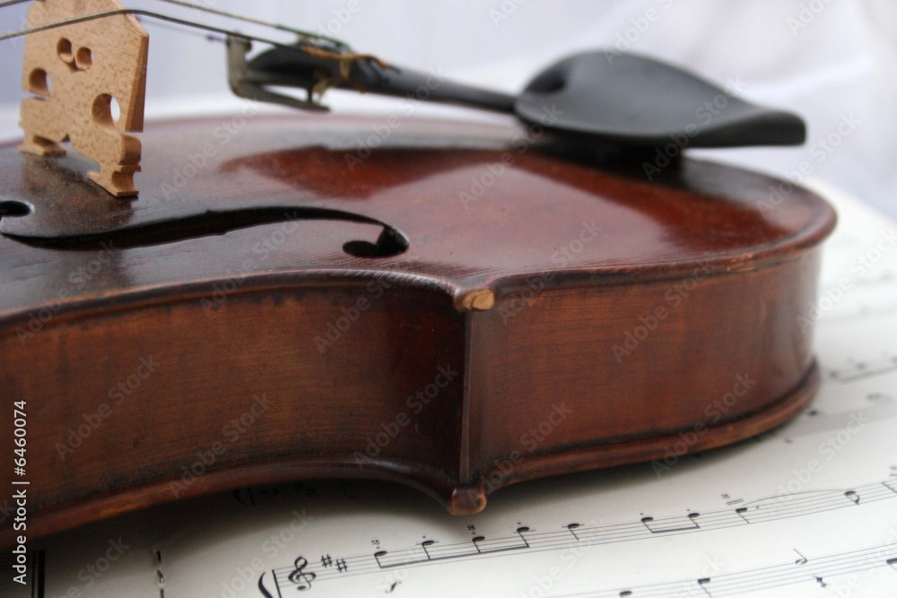 Obraz premium violin