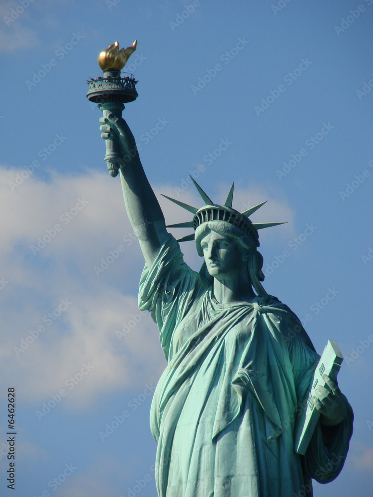 Fototapeta premium Statua Wolności w Nowym Jorku w USA