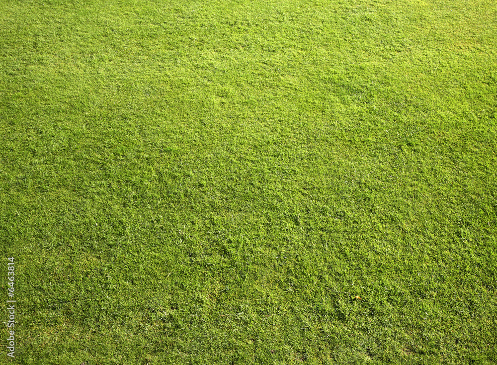 Neat cut grass on a bowling green. Neat cut grass on a bowling green.